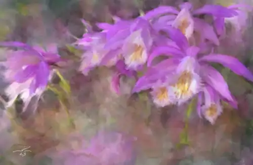 Illustration by Peter J. Lyndt; "Pastel Passions"